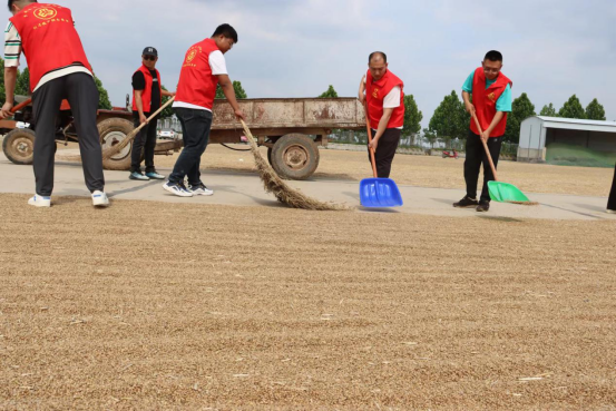 6.2展現(xiàn)國企責任擔當 全力助民搶收夏糧(新聞稿)206.png 6.2展現(xiàn)國企責任擔當 全力助民搶收夏糧(新聞稿)206.png